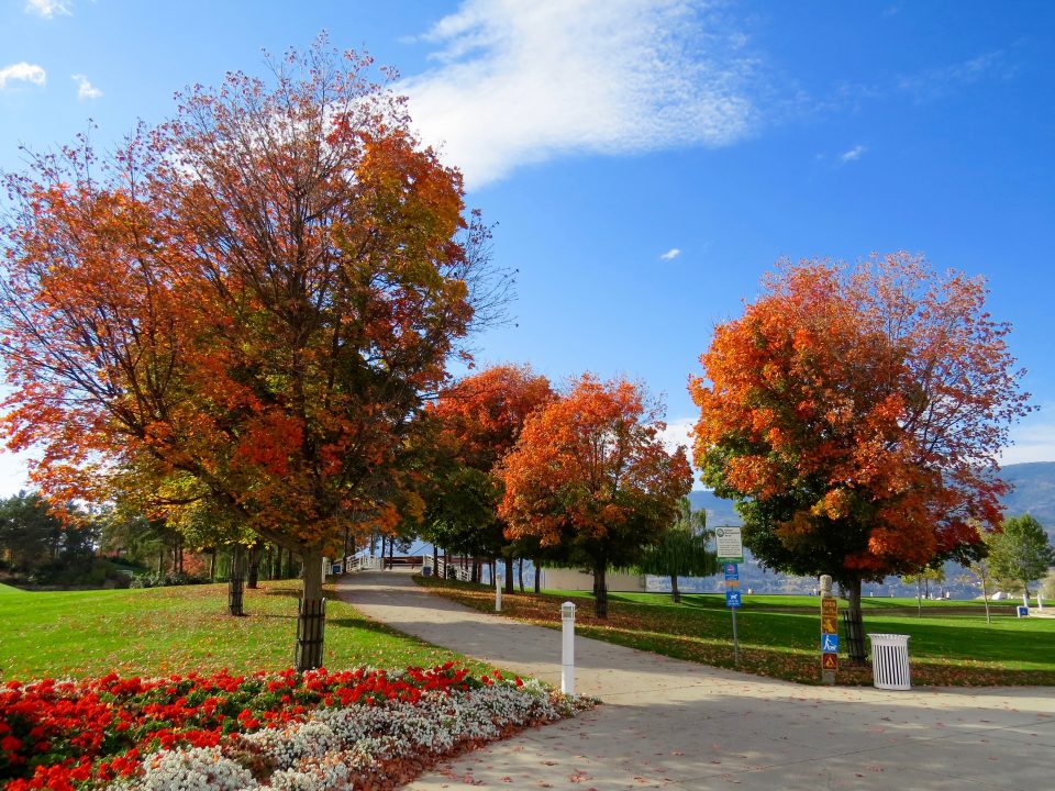 charlotte landscapers