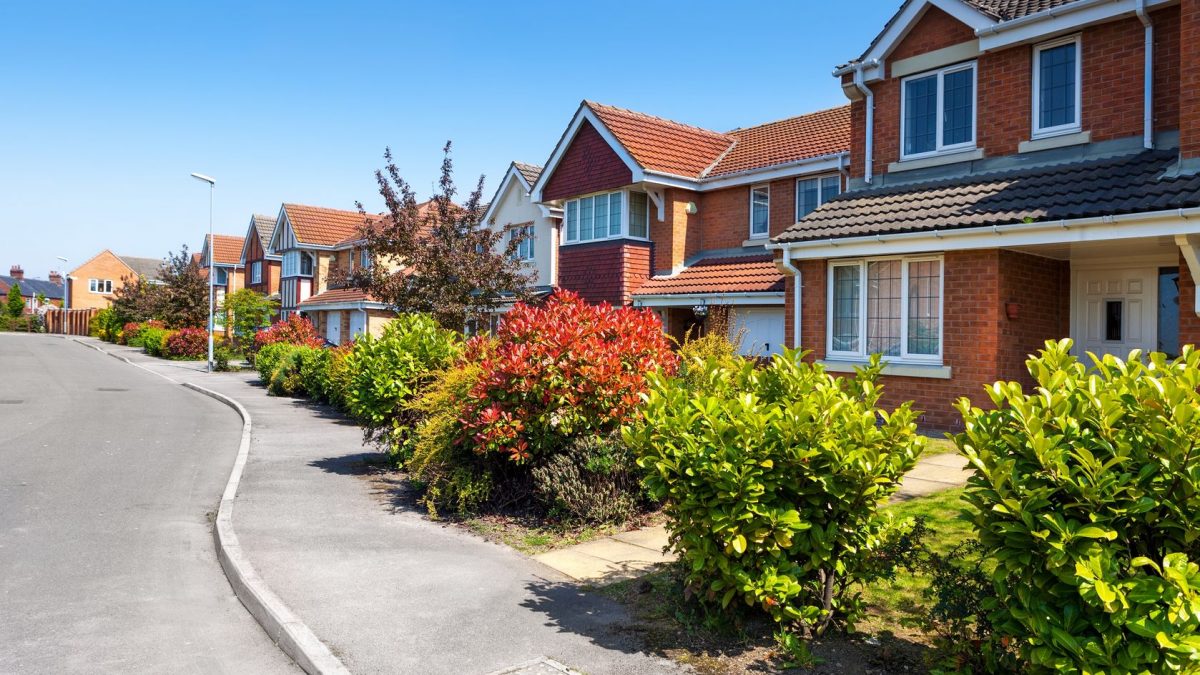 Experienced Landscape Architects in Charlotte, NC