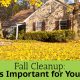 fall-cleanup-charlotte