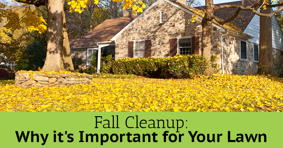 fall-cleanup-charlotte