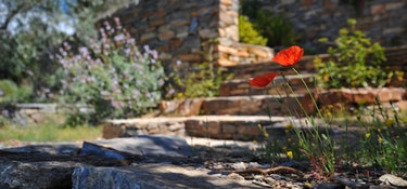 hardscapes charlotte