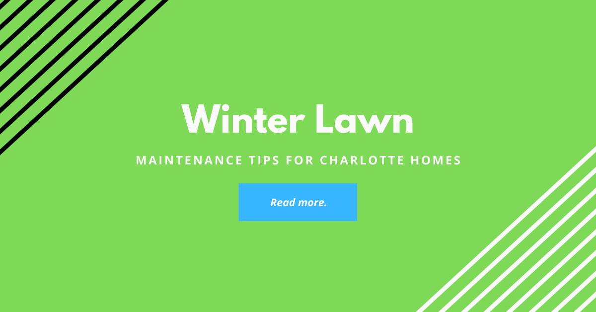 winter-lawn-maintenance-tips-charlotte