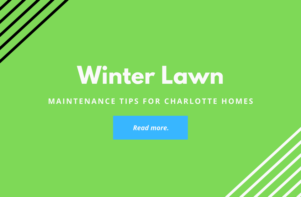 winter-lawn-maintenance-tips-charlotte