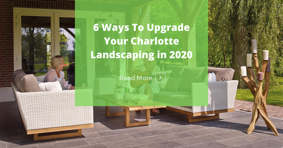 charlotte-landscaping-2020