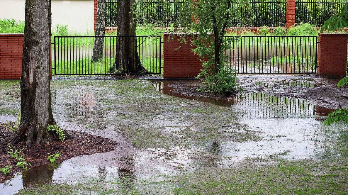 charlotte yard drainage Vision Green Landscape