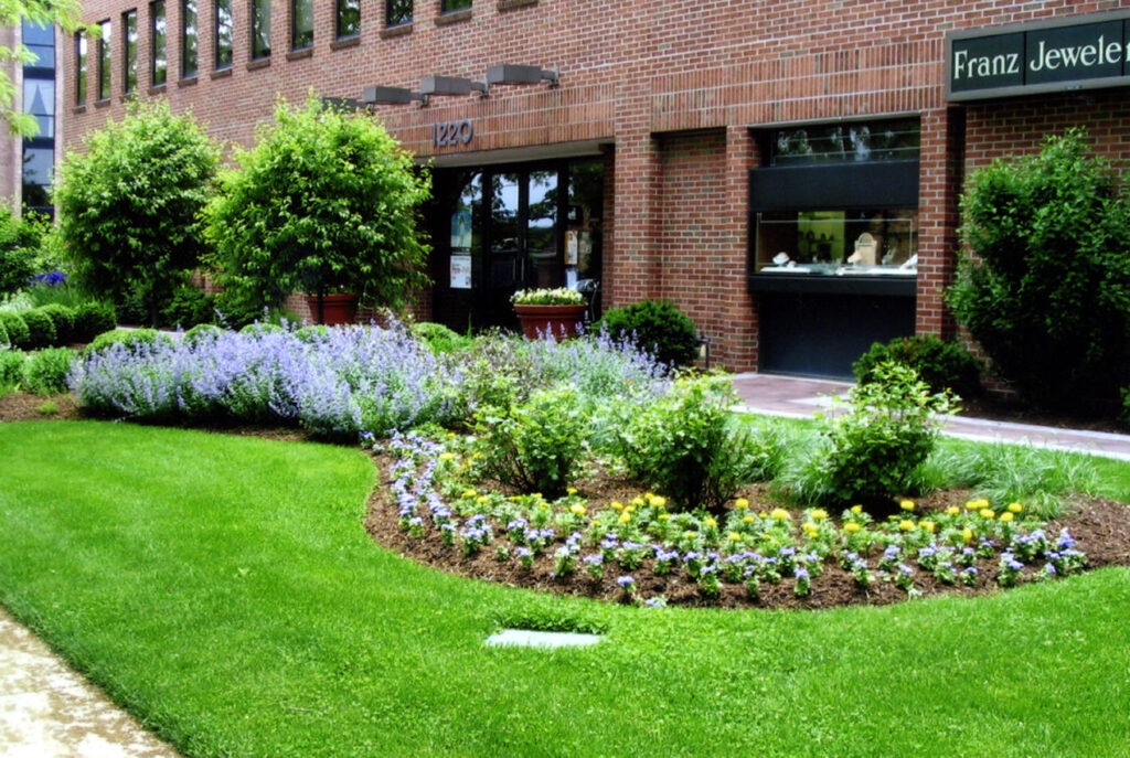 commercial landscape design