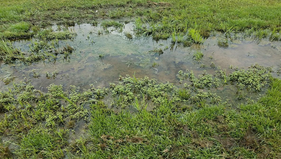 yard drainage charlotte nc