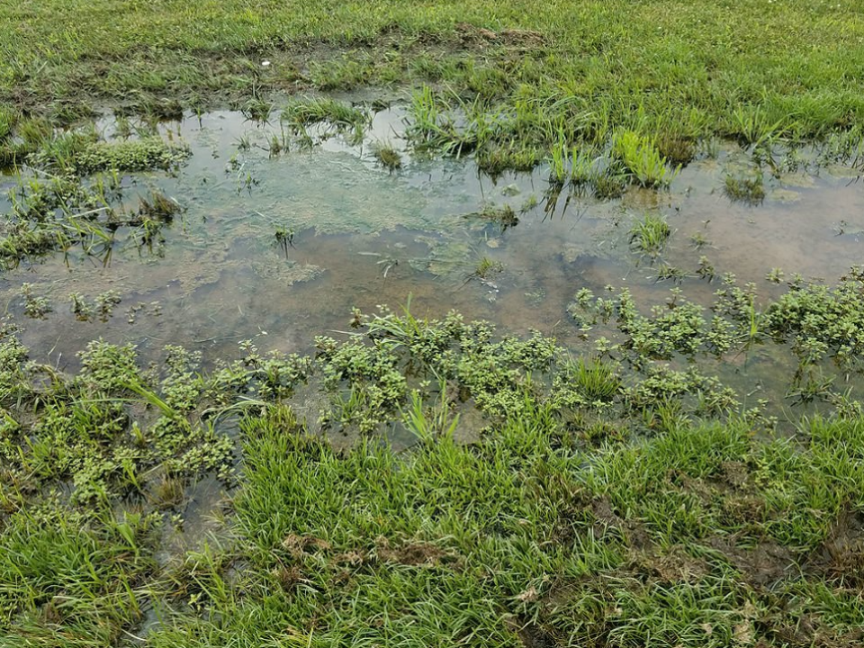 yard drainage charlotte nc