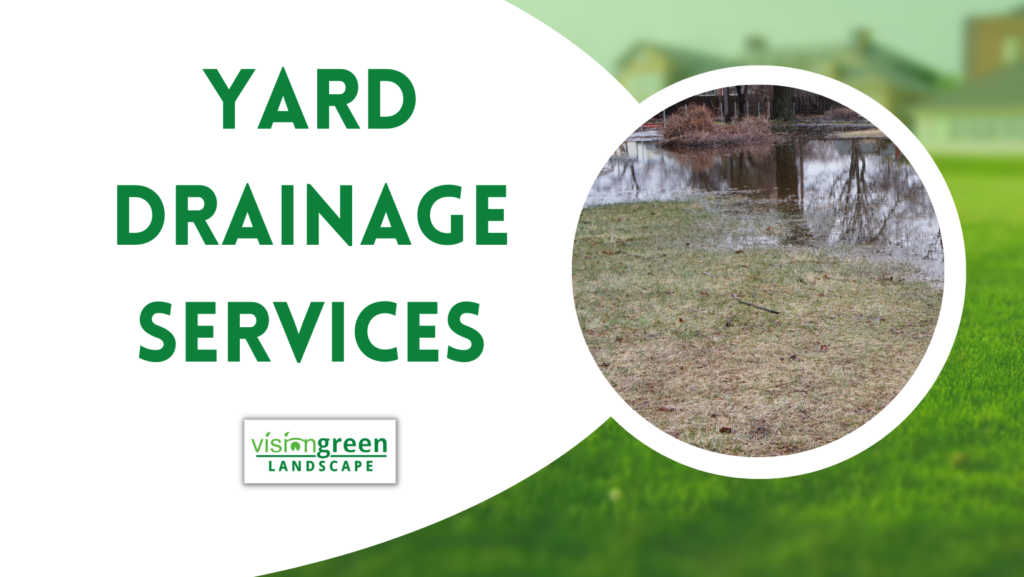 yard drainage charlotte Vision Green Landscape