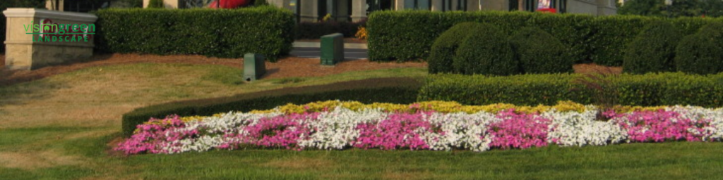 retail landscaper