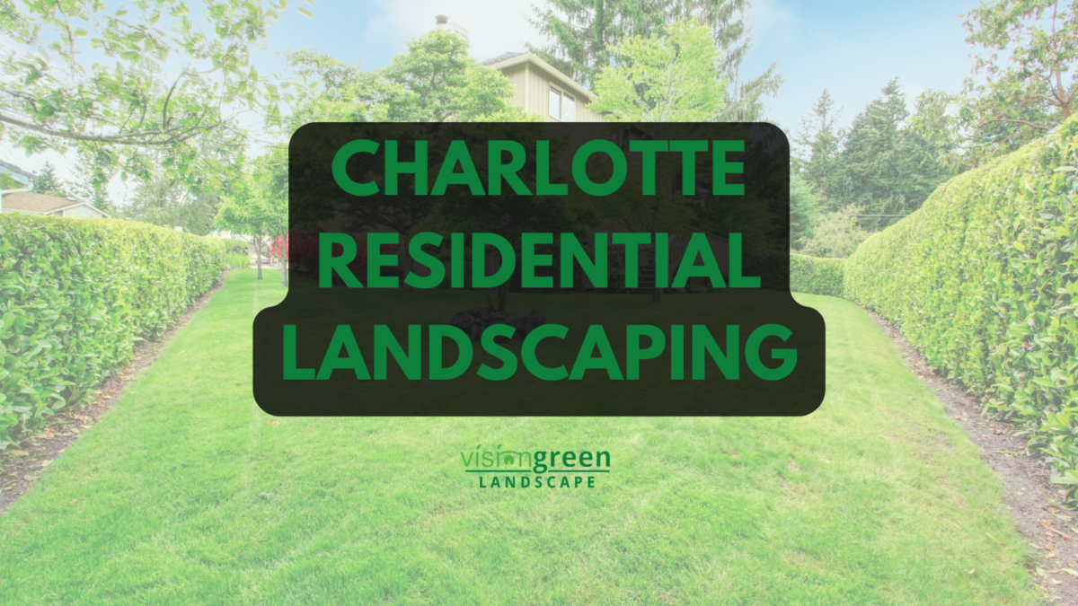 charlotte landscaping services for homeowners