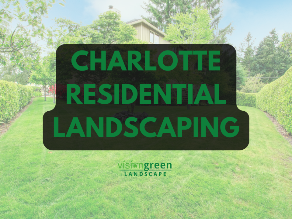 charlotte landscaping services for homeowners
