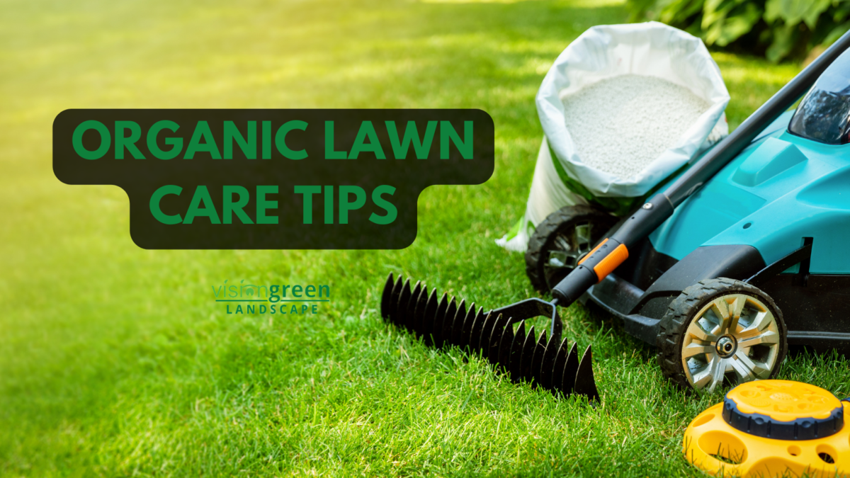 best lawn care tips for organic