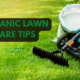 best lawn care tips for organic