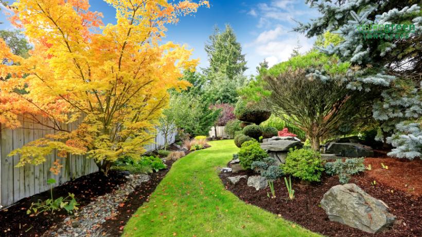 landscape design specialists