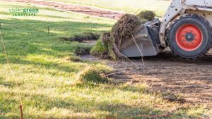 charlotte yard grading