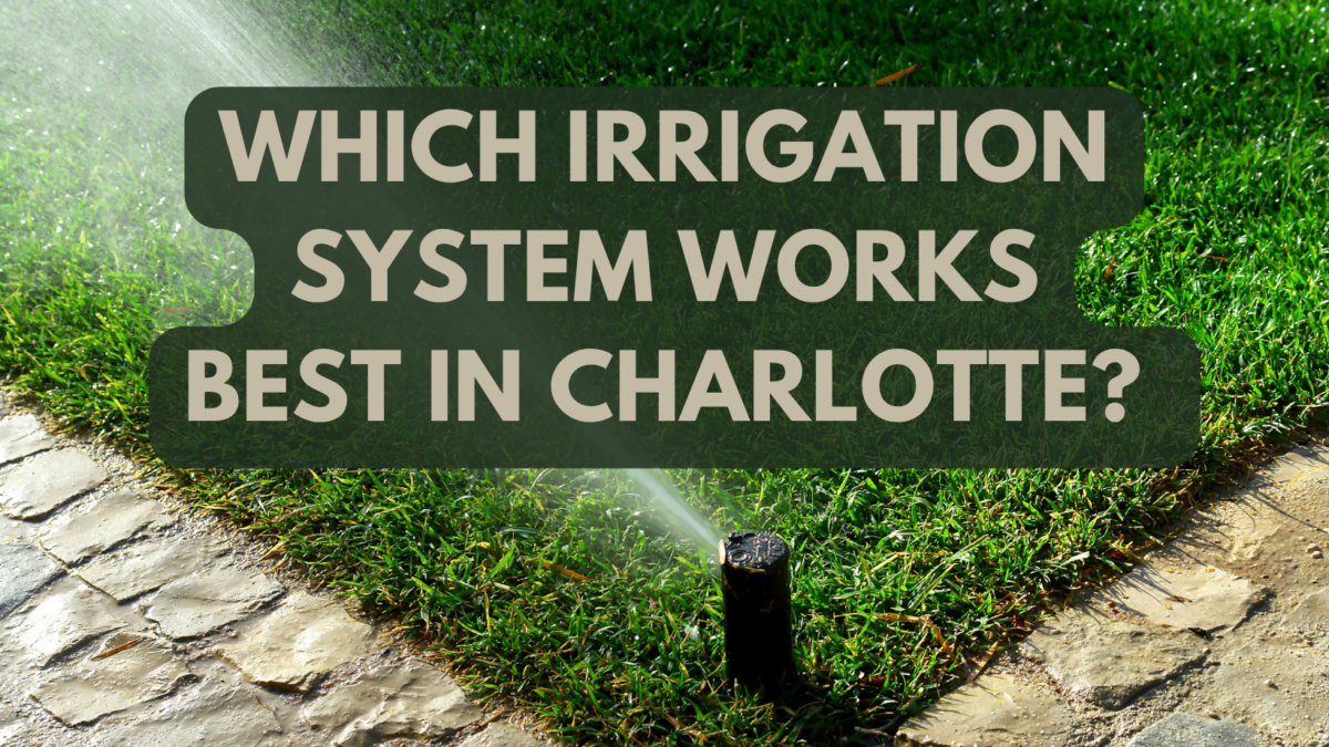 sprinkler vs drip irrigation