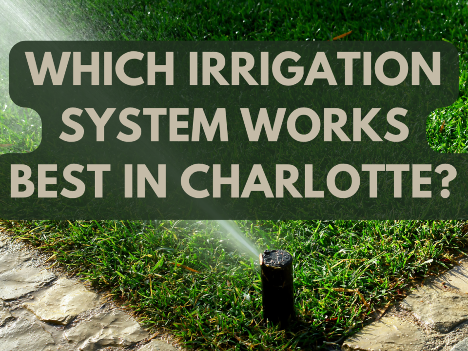 sprinkler vs drip irrigation