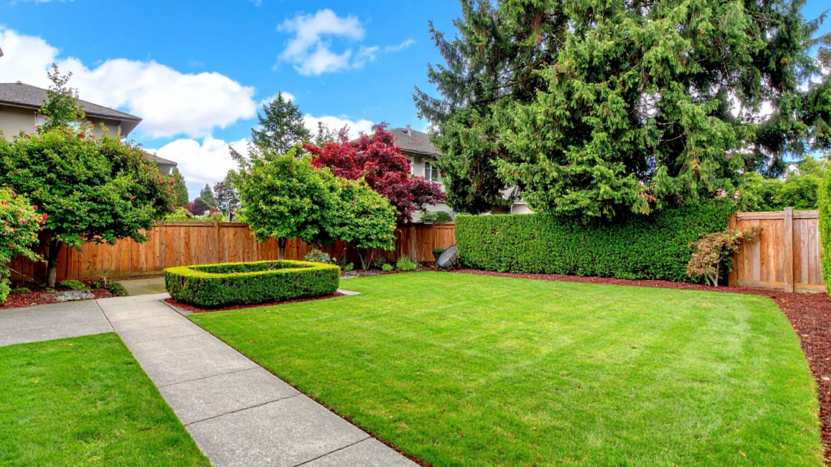 Backyard Privacy Checklist for Charlotte Homeowners