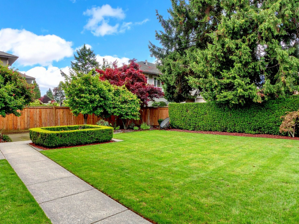 Backyard Privacy Checklist for Charlotte Homeowners