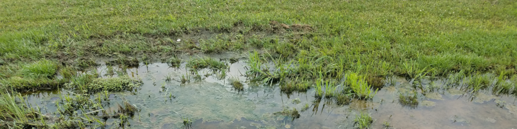 Charlotte Yard Drainage & Irrigation