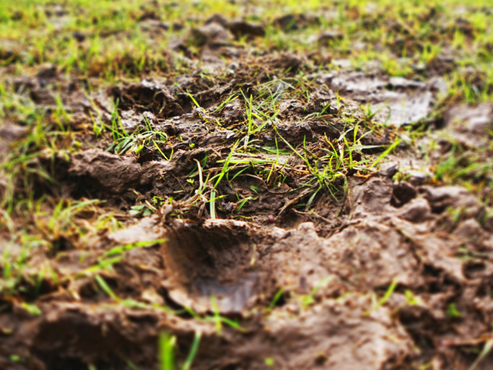 Water Solutions for Charlotte Homes