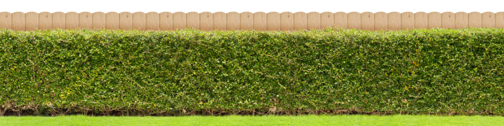 Charlotte outdoor privacy solutions