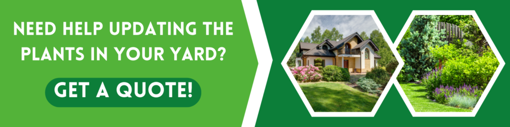 best landscaping company in charlotte