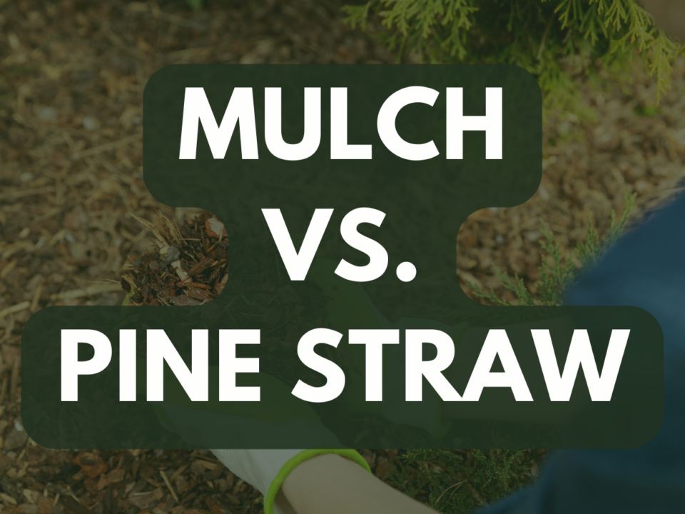 mulch or pine straw for flower beds