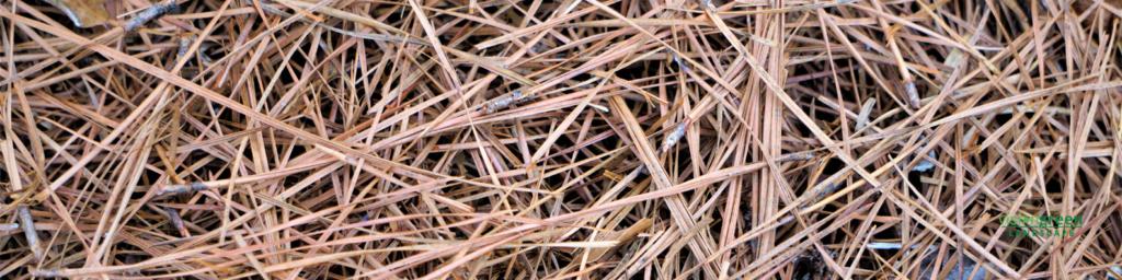 pine straw for sloped yards charlotte