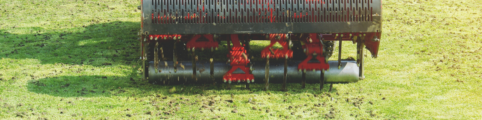 lawn aeration near me Charlotte