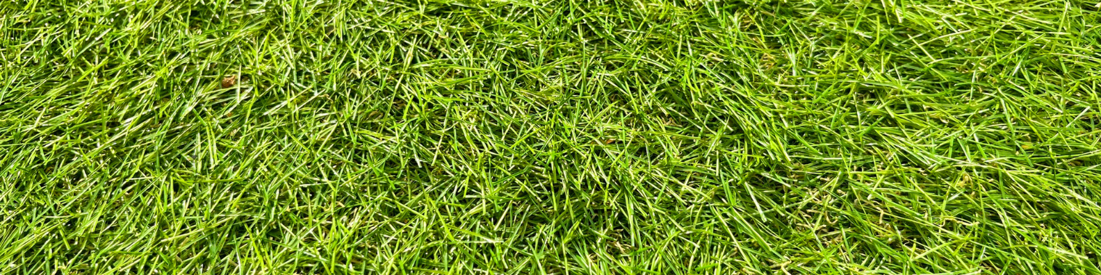 residential lawn aeration Charlotte