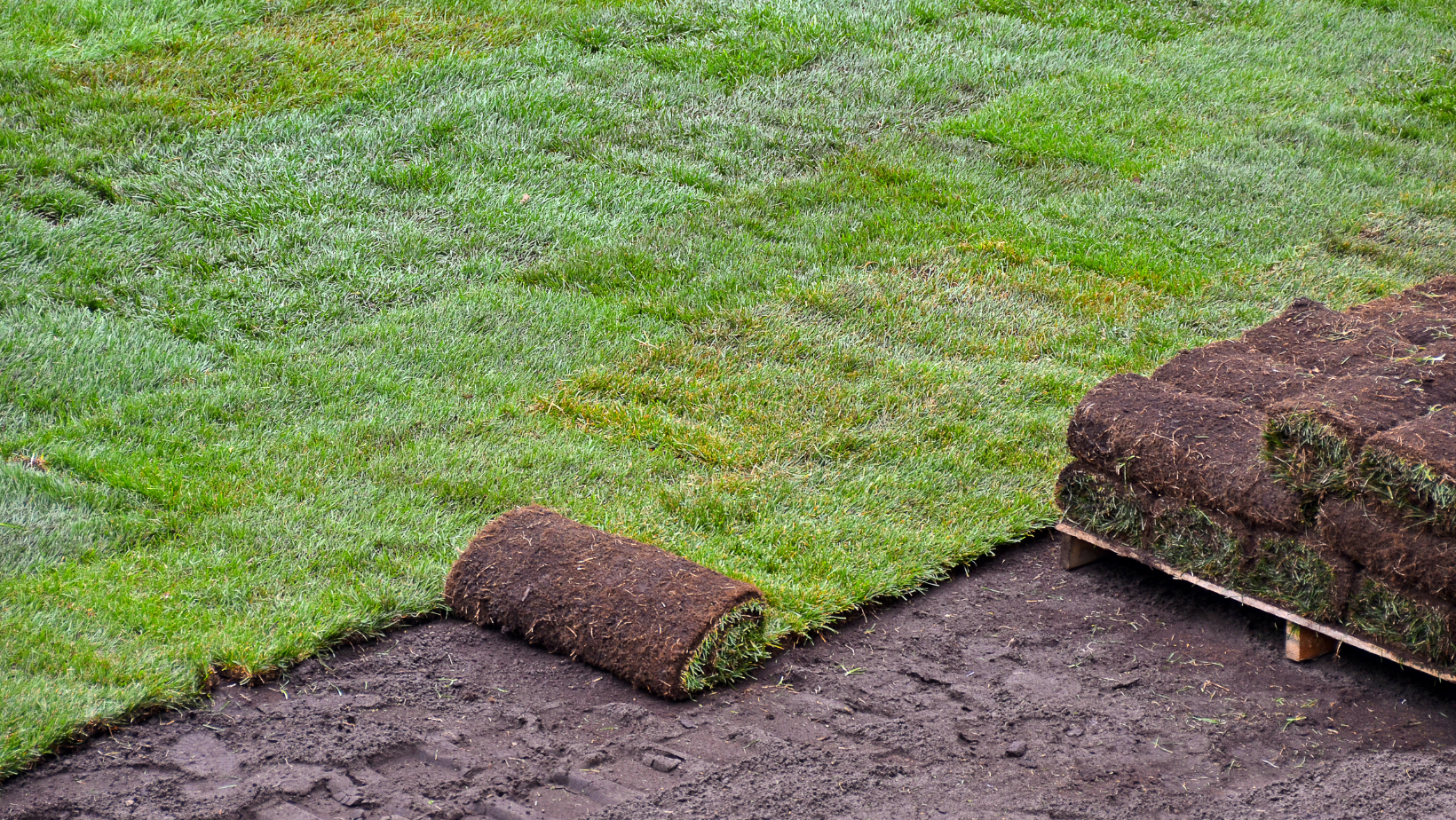 South Charlotte Sod Installation in progress