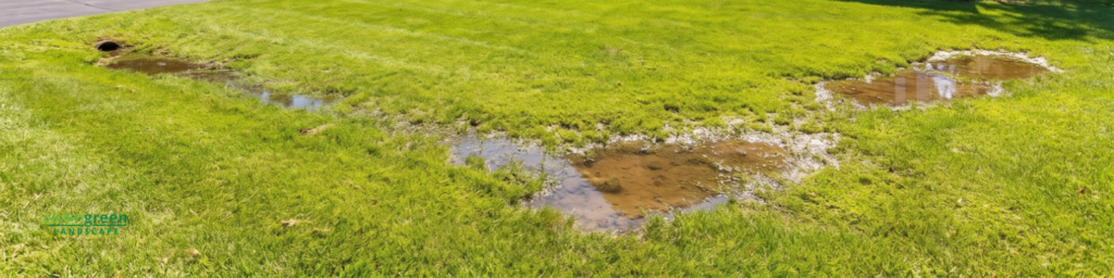 Charlotte Drainage Projects